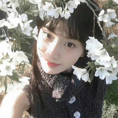 李卫当官2